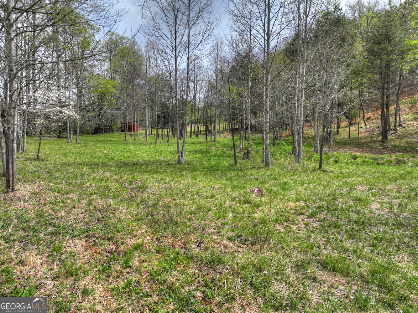 139 Cedar Lane