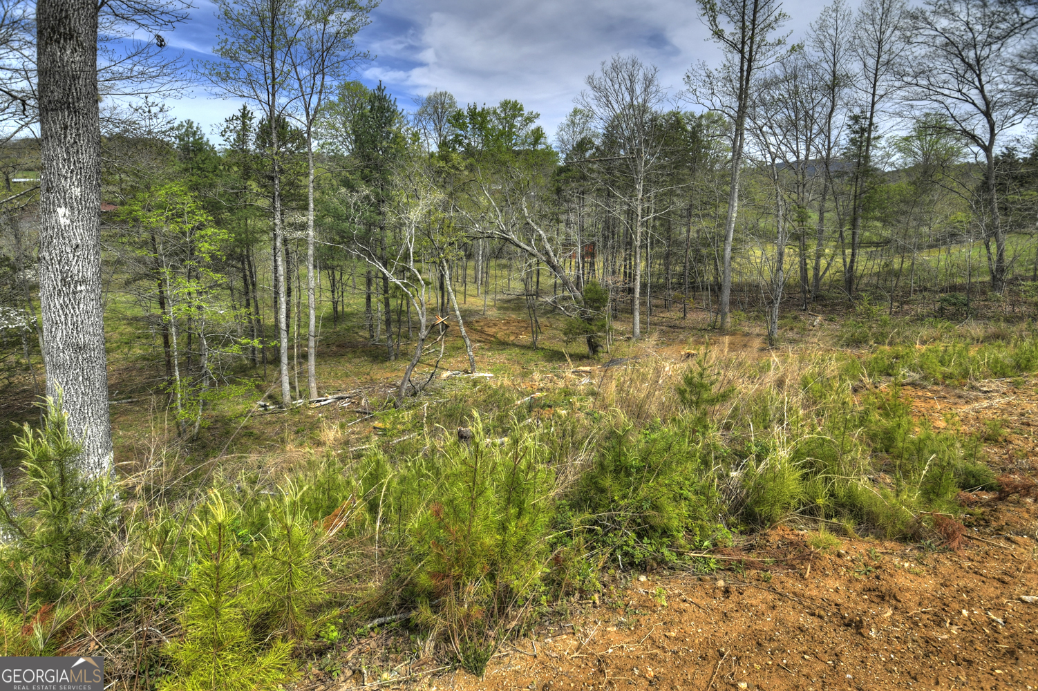 139 Cedar Lane