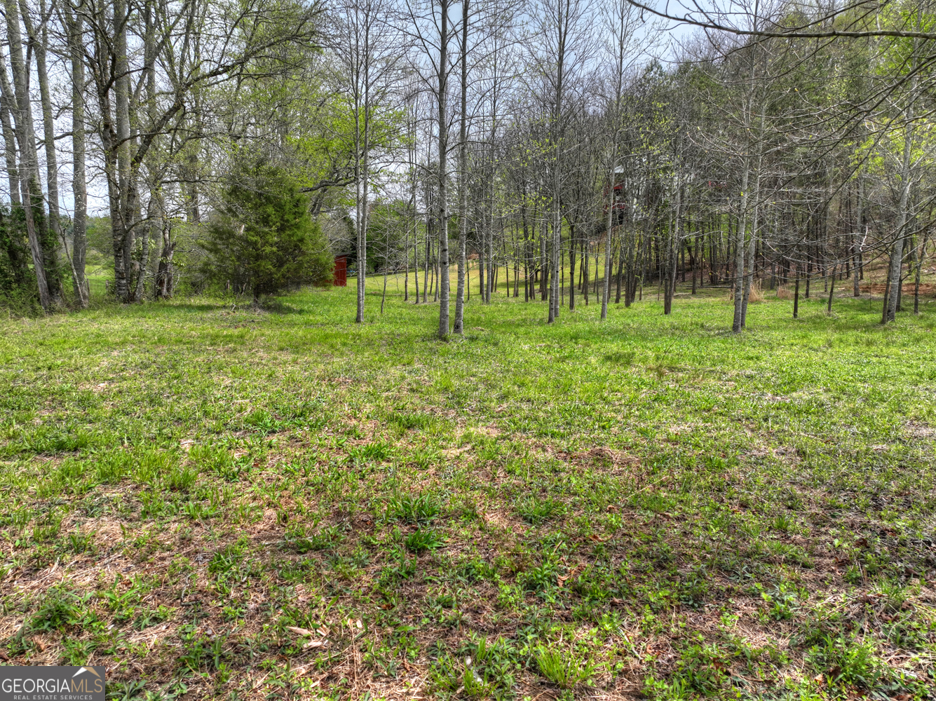 139 Cedar Lane