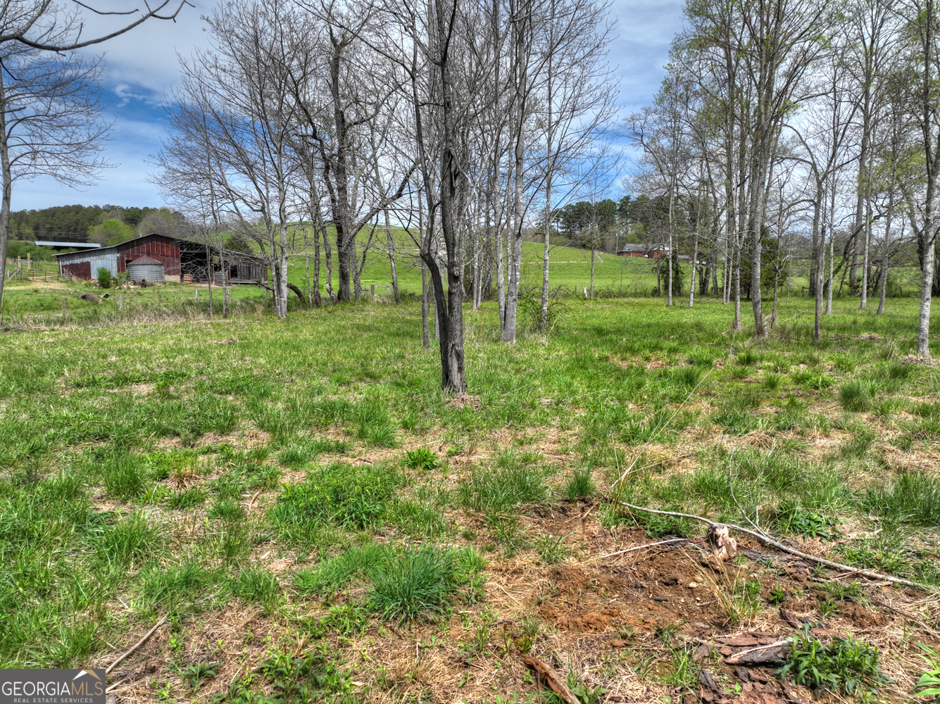 139 Cedar Lane