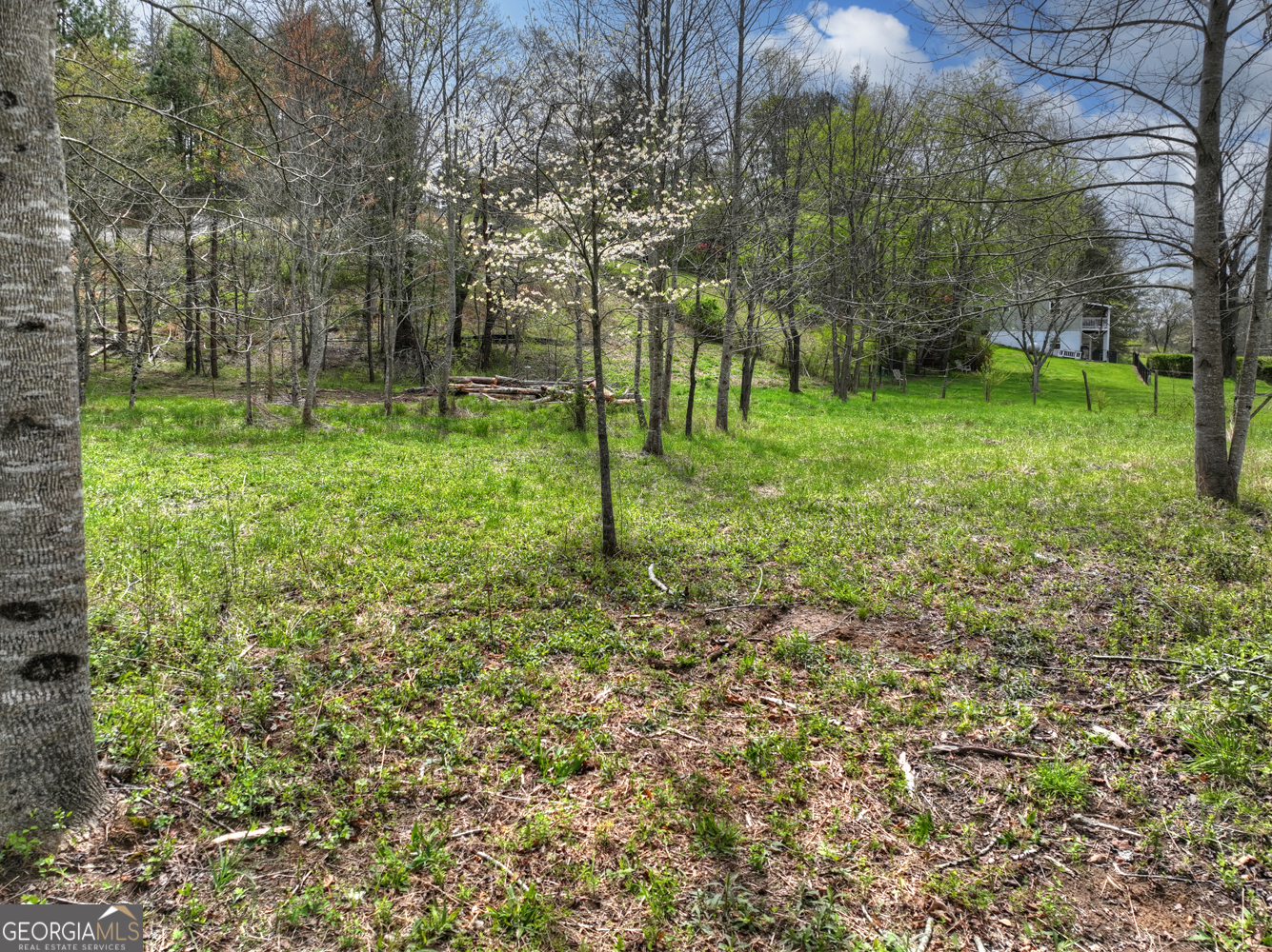 139 Cedar Lane