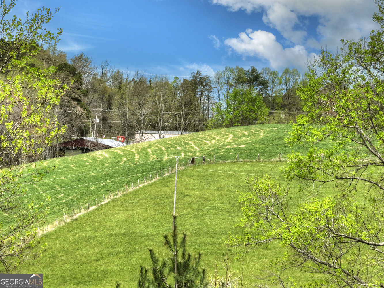 139 Cedar Lane