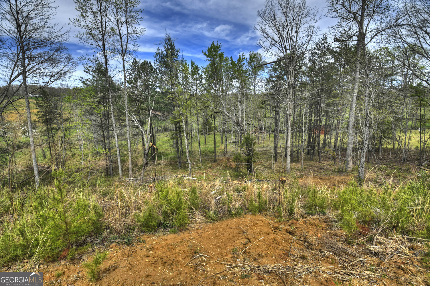139 Cedar Lane