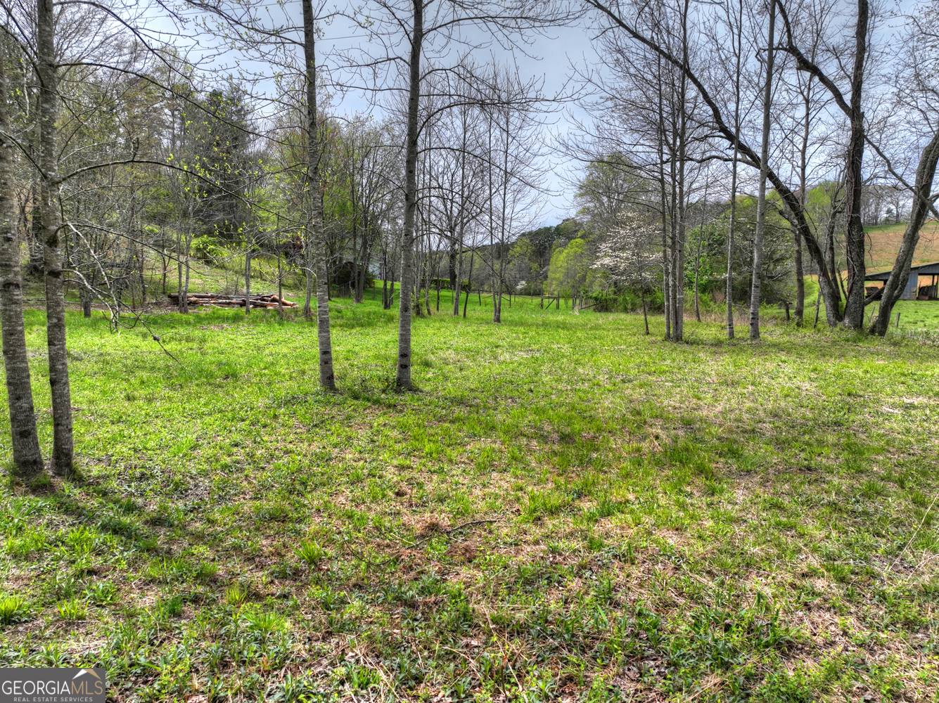 139 Cedar Lane