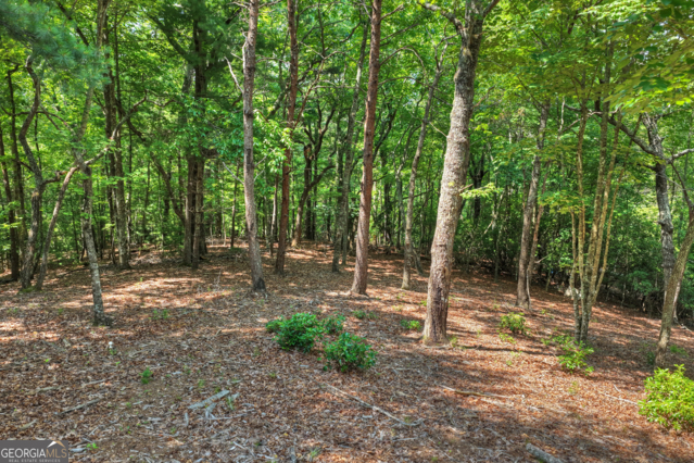 46 Sequoya Trail