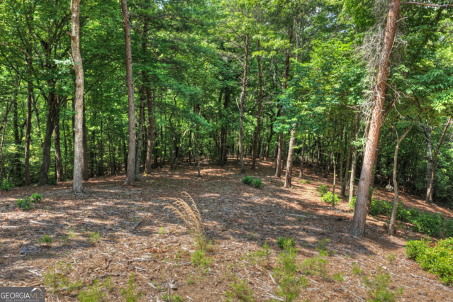 46 Sequoya Trail