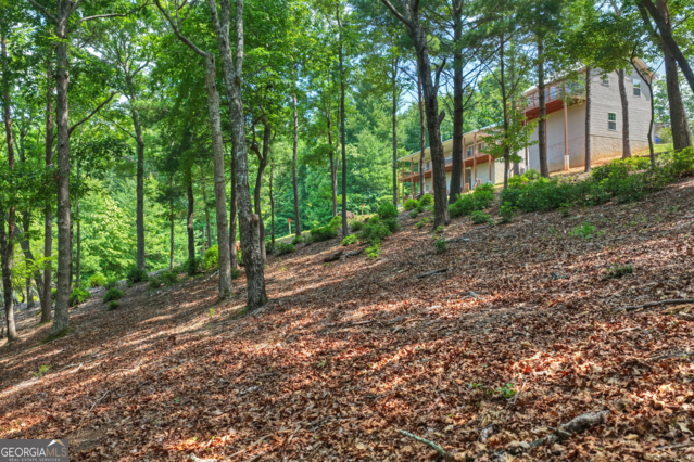 46 Sequoya Trail