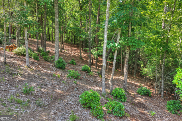 46 Sequoya Trail