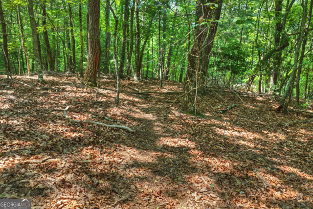 46 Sequoya Trail