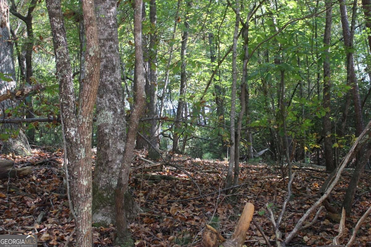 LOT 546 Satsuma North Court
