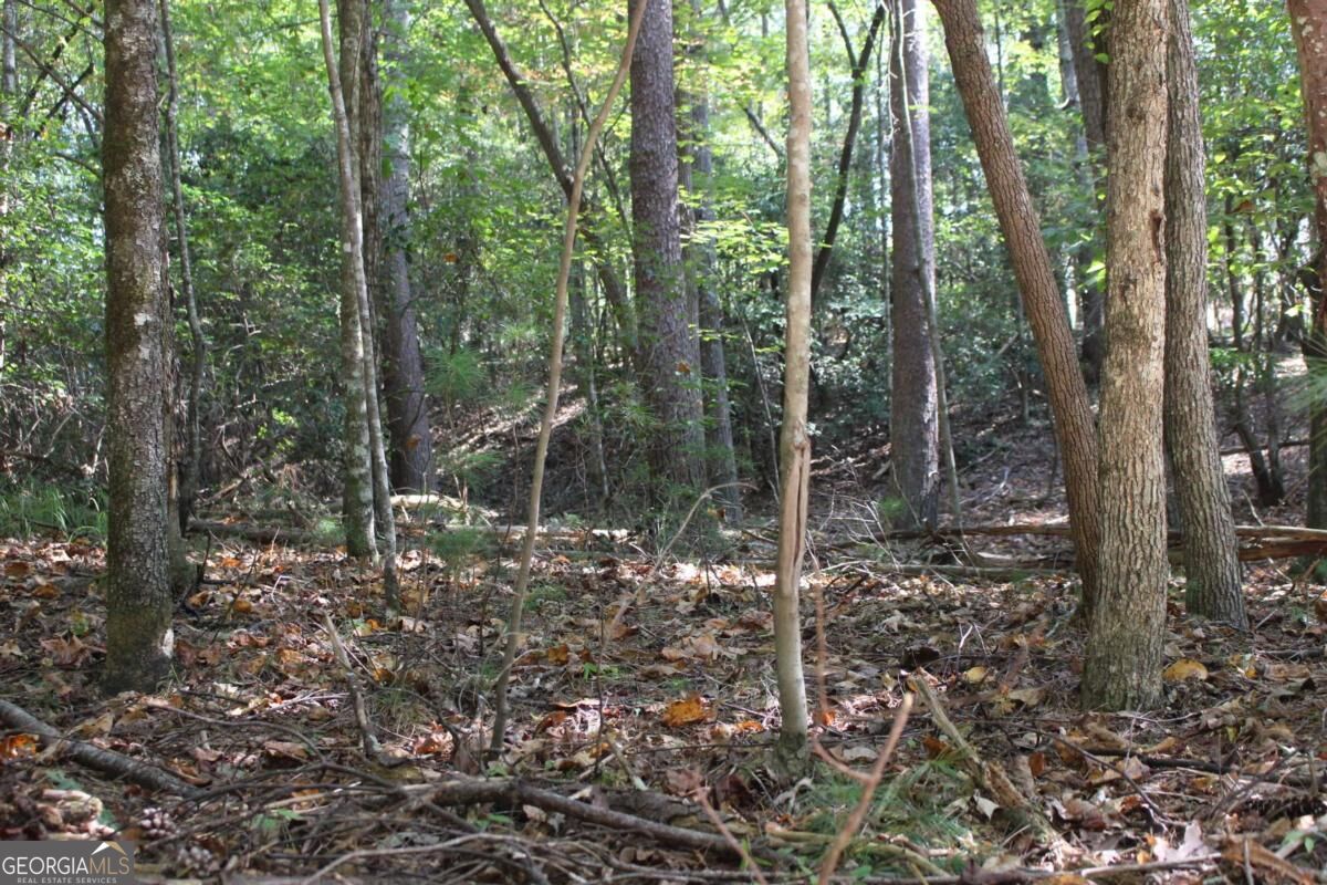 LOT 546 Satsuma North Court
