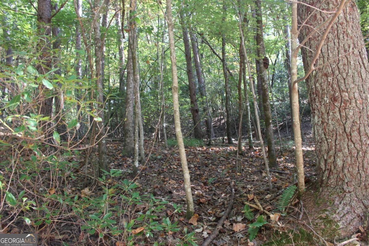 LOT 546 Satsuma North Court