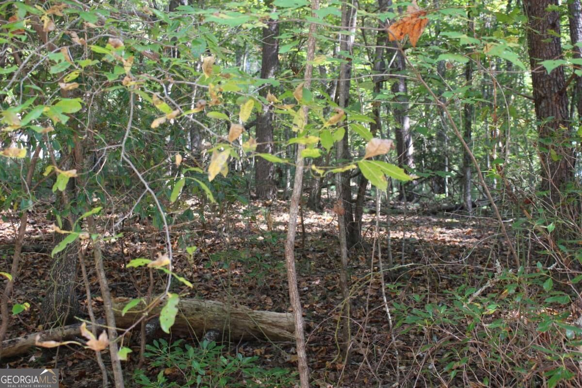 LOT 546 Satsuma North Court
