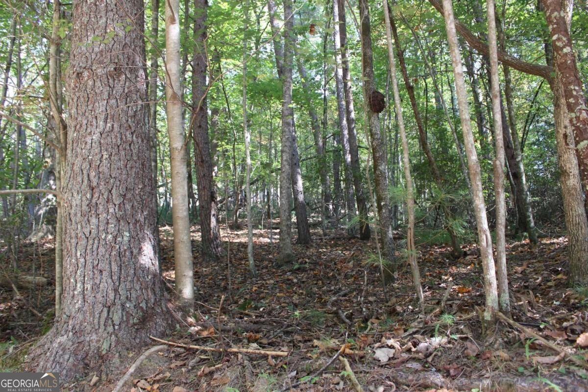 LOT 546 Satsuma North Court