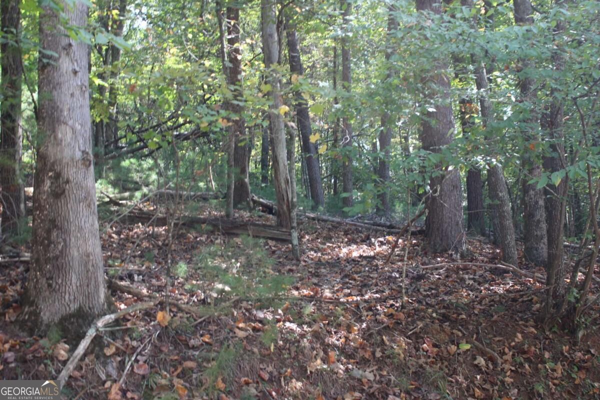 LOT 546 Satsuma North Court