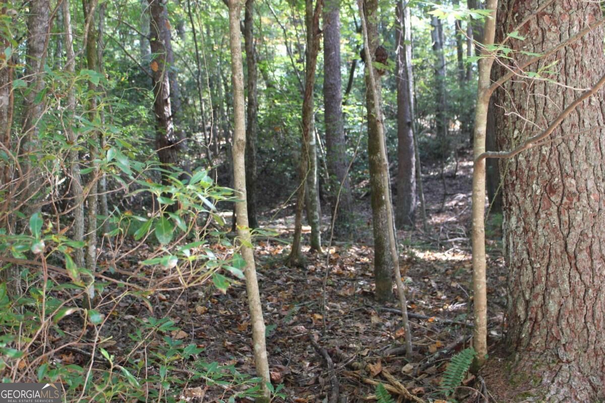 LOT 546 Satsuma North Court