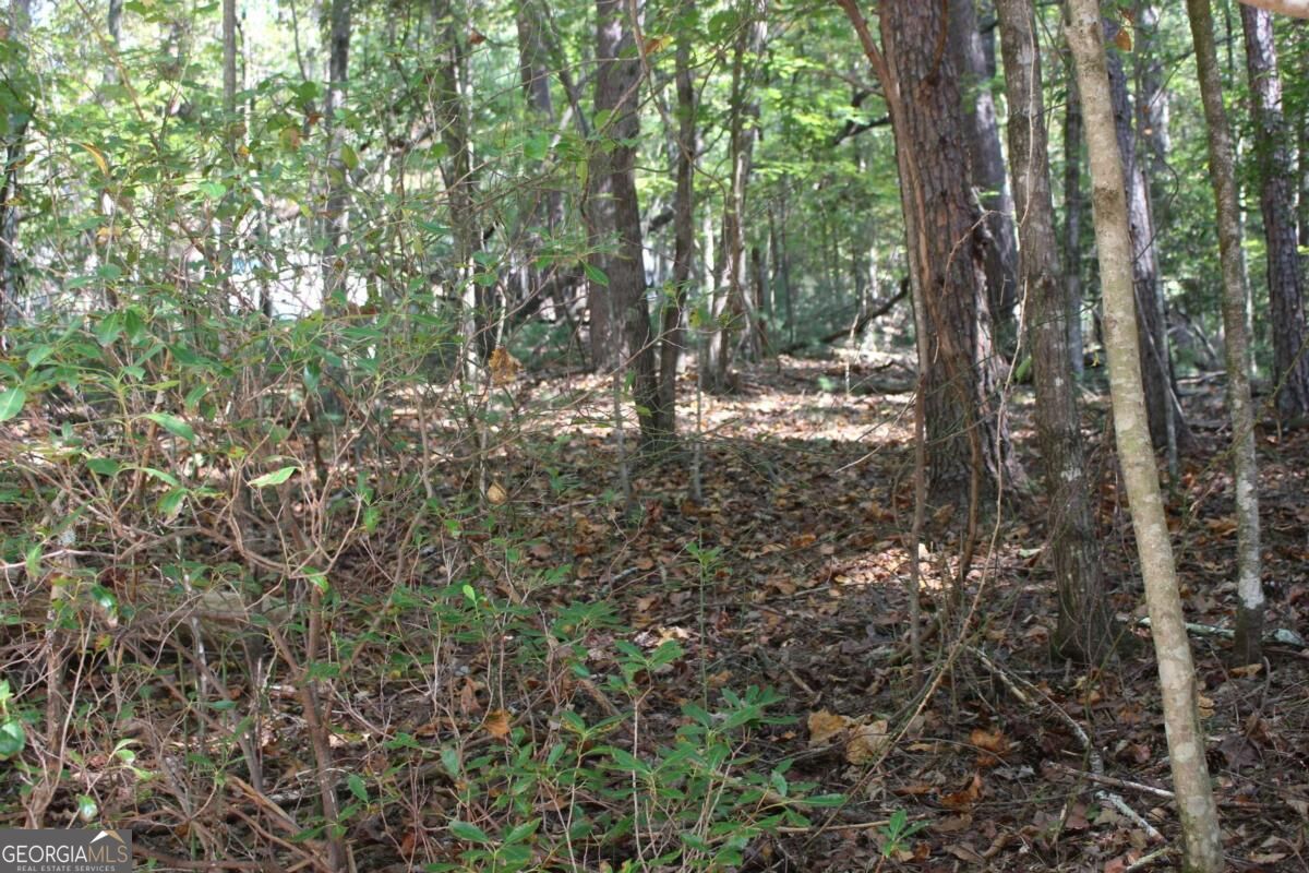 LOT 546 Satsuma North Court