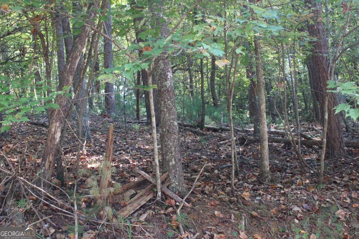 LOT 546 Satsuma North Court