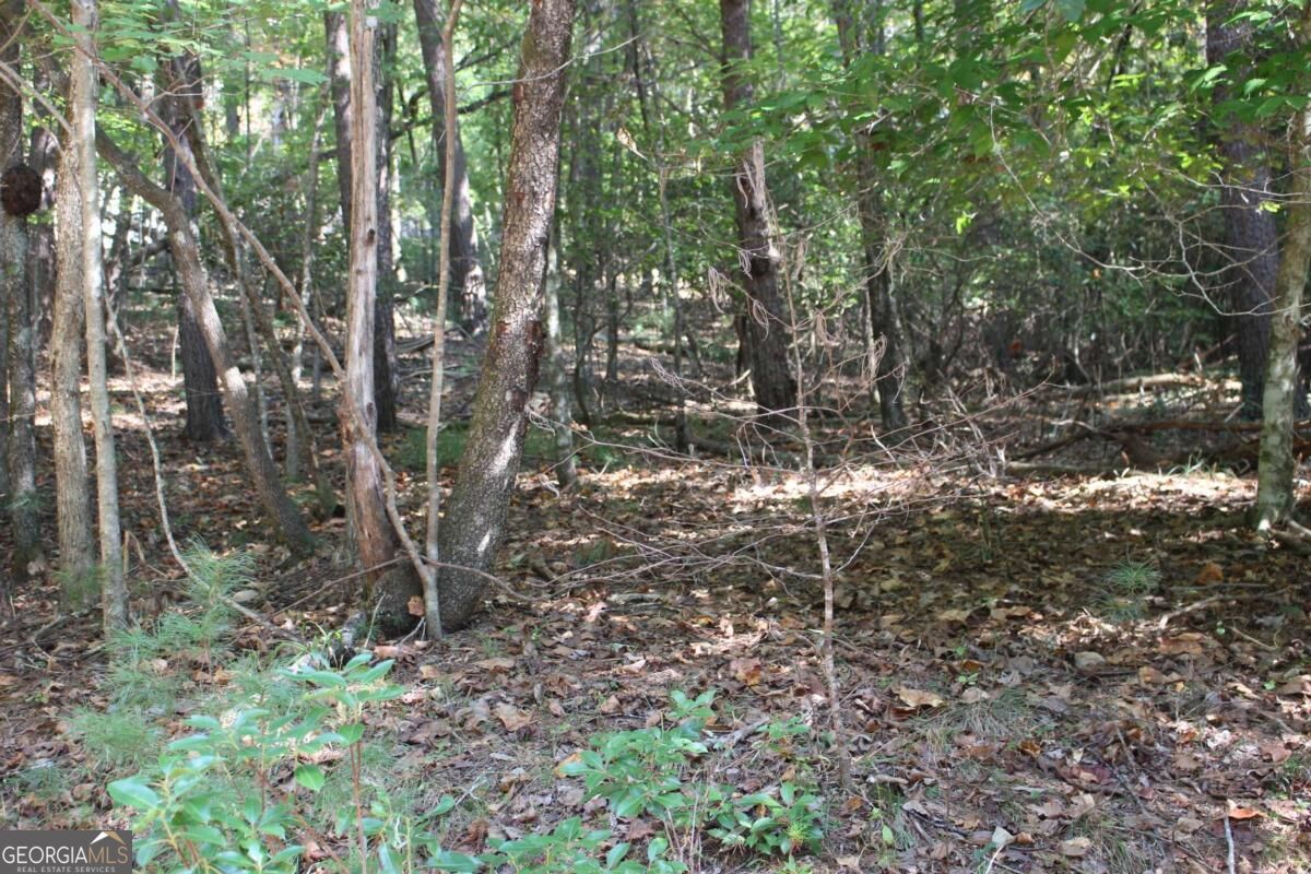 LOT 546 Satsuma North Court