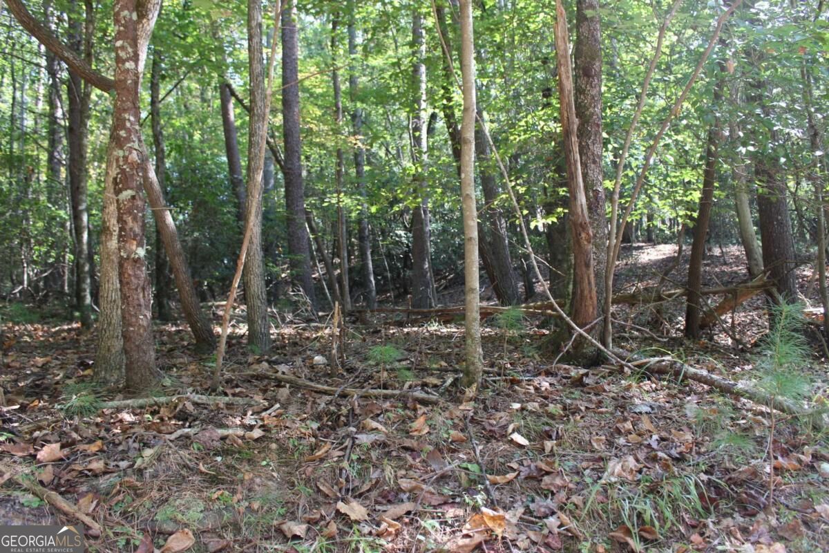 LOT 546 Satsuma North Court