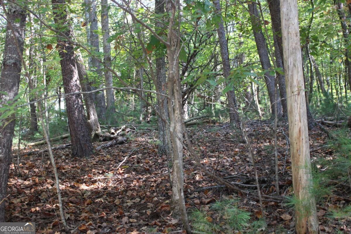 LOT 546 Satsuma North Court