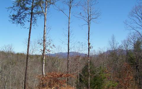 LT 53 Trails End Ridge