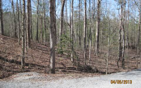 L1157 Spalding Circle