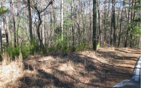 L3457 Fir Lane