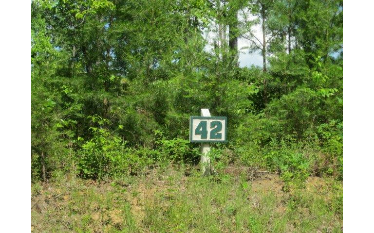 LOT42 Rolling Meadows