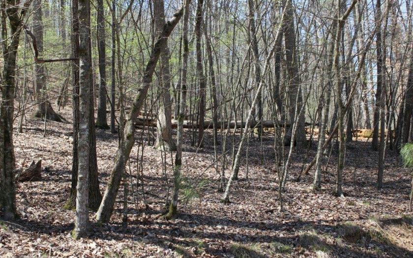 Navaho Way - Lot 471