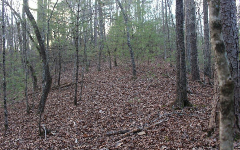 Gothic Ct - Lot 1049