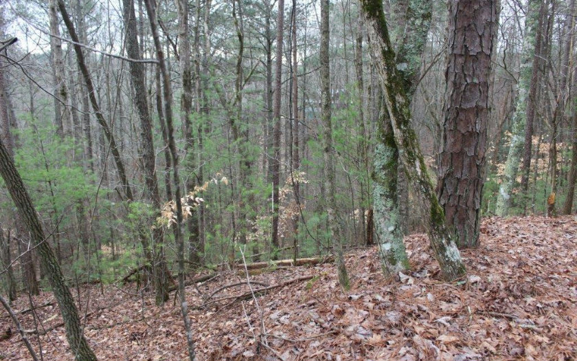 00 Lemmon Lane-Lot 1085