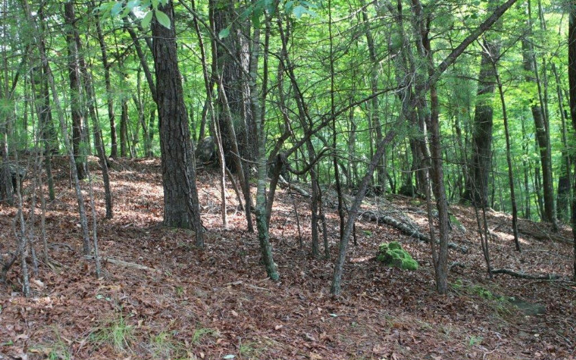 Ogden Court Lot 2877