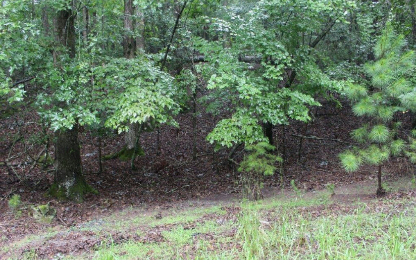 Medina Ct - Lt 2759