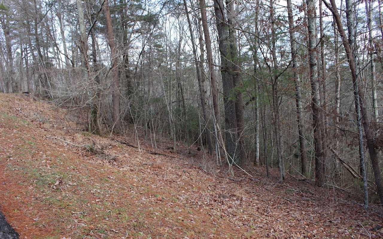 Tonto Drive Lot 529