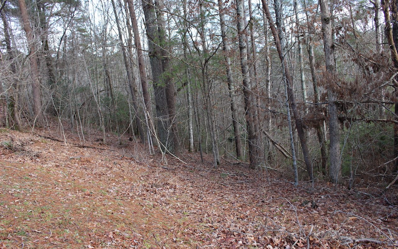 Tonto Drive Lot 529