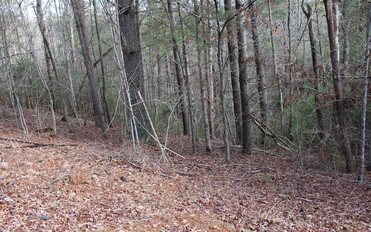 Tonto Drive Lot 529