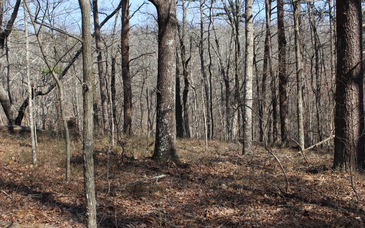 Hanna Dr - Lot 1472