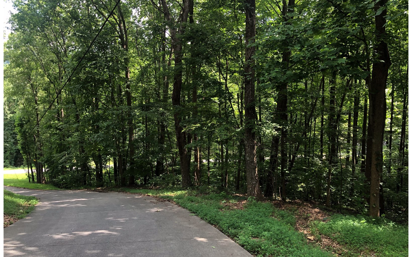 25 Turkey Trot Trail