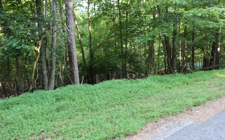 Tara Drive Lt 67