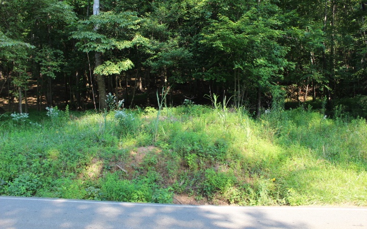 Beaver Lake Dr Lt 3