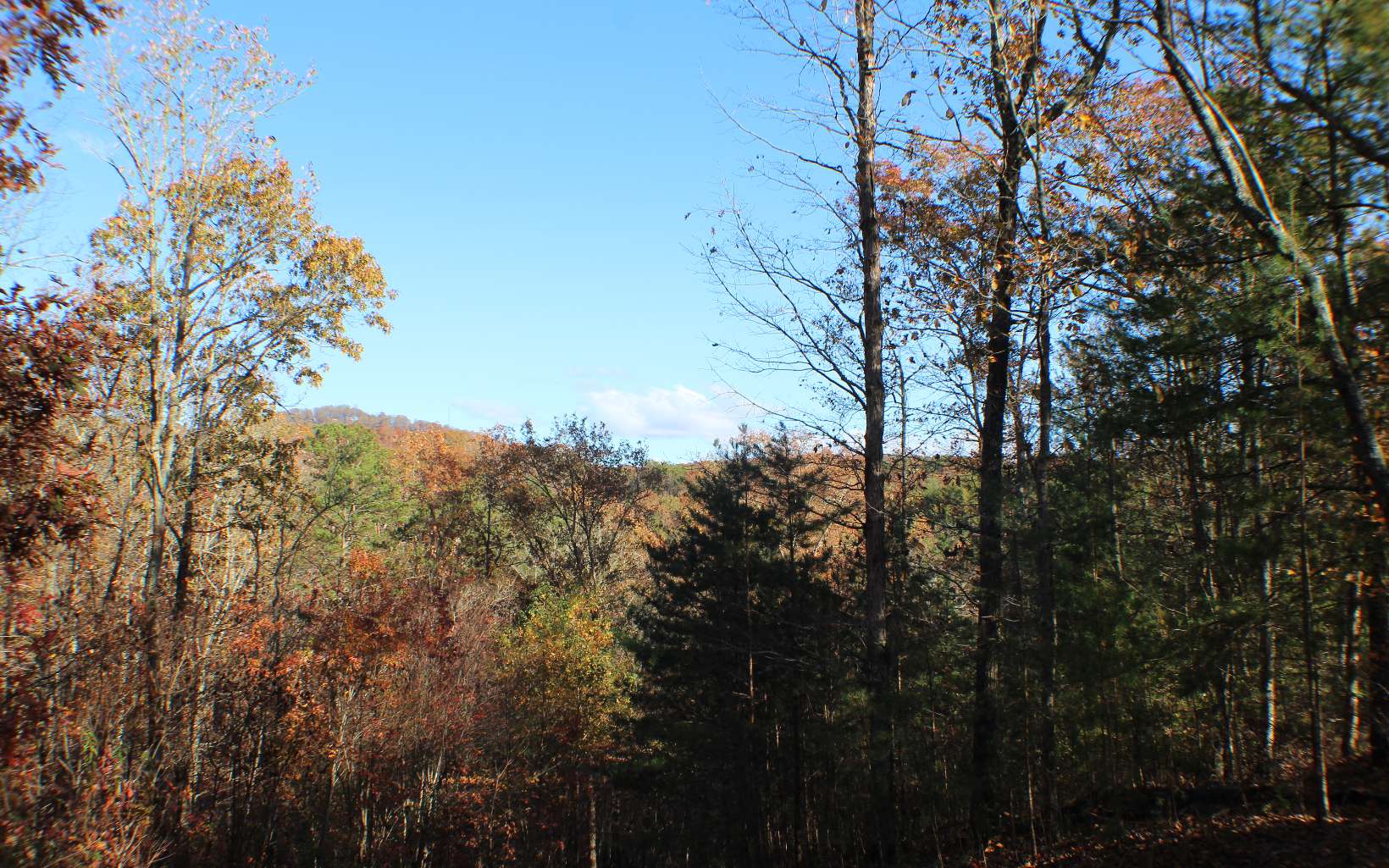 Oakridge Mtn Lt 9