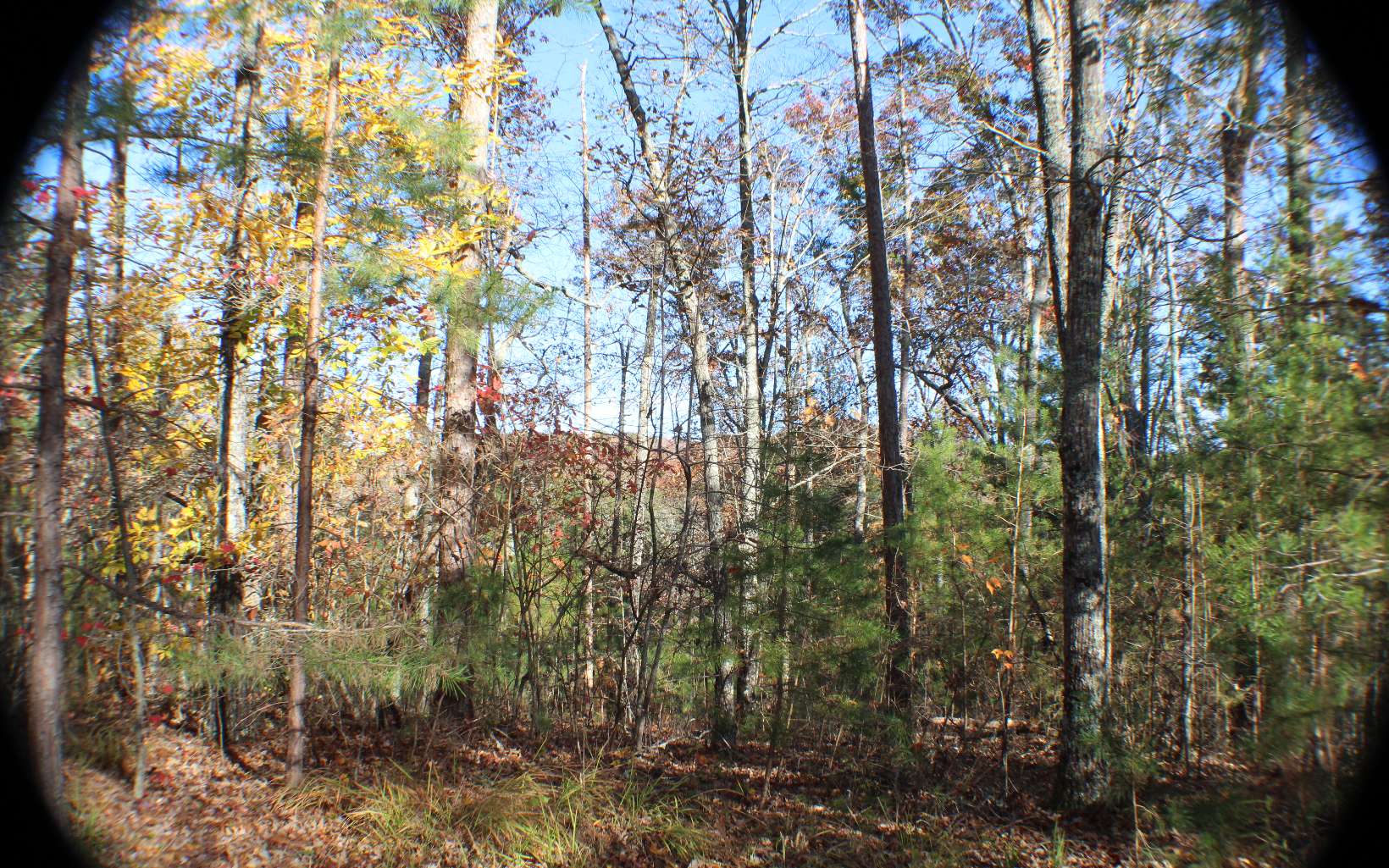 Oakridge Mtn Lt 9