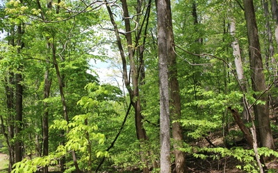 L M26 Sleepy Hollow Road