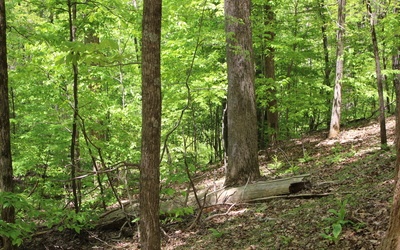L M26 Sleepy Hollow Road