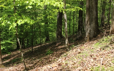 L M26 Sleepy Hollow Road