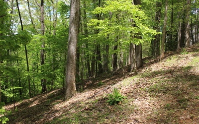 L M26 Sleepy Hollow Road