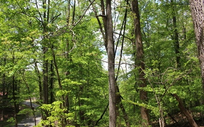 L M26 Sleepy Hollow Road