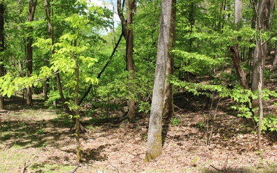 L M26 Sleepy Hollow Road