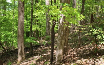 L M26 Sleepy Hollow Road
